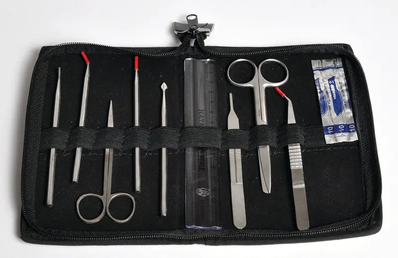 United Scientific Dissecting Instruments, Instructor's Set Of 10 1
